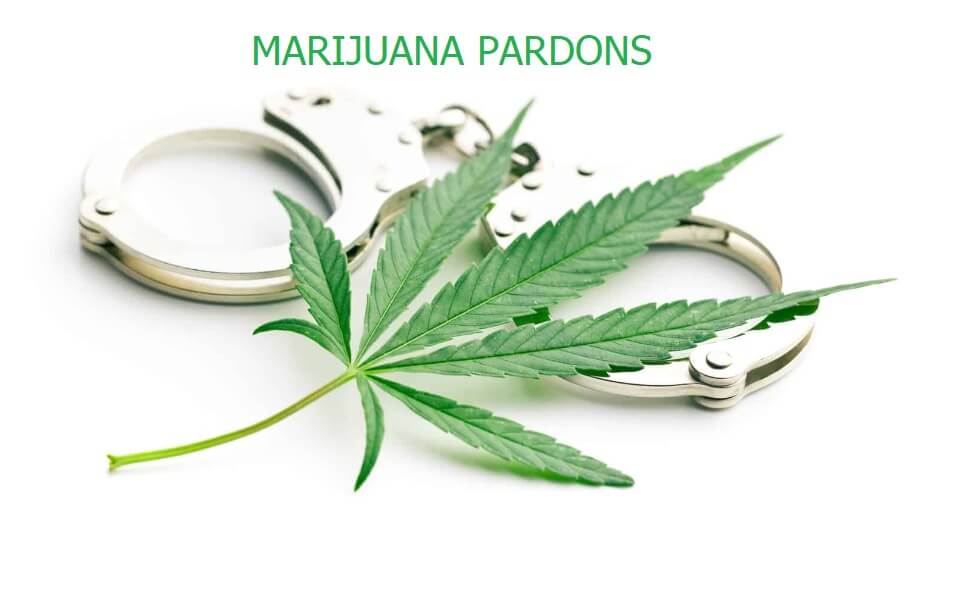 Breaking News – October Surprise: Biden’s Cannabis Pardons and FOMO
